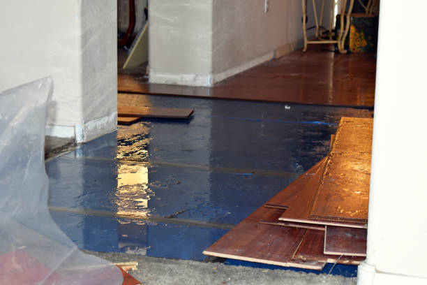 Professional Basement Flood Cleanup technician working in Bethel, PA